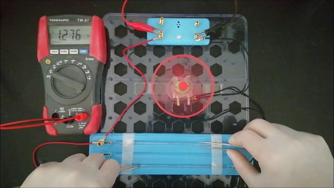 Video Thumbnail