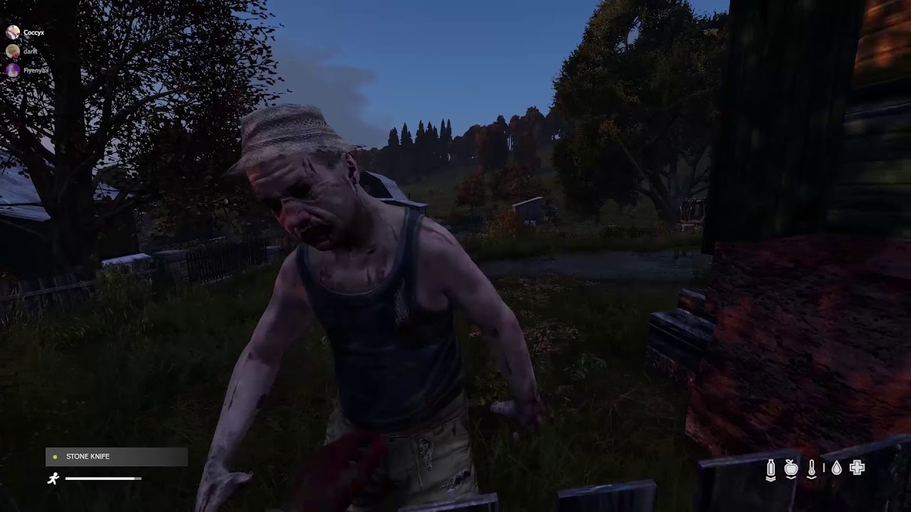 Video Thumbnail